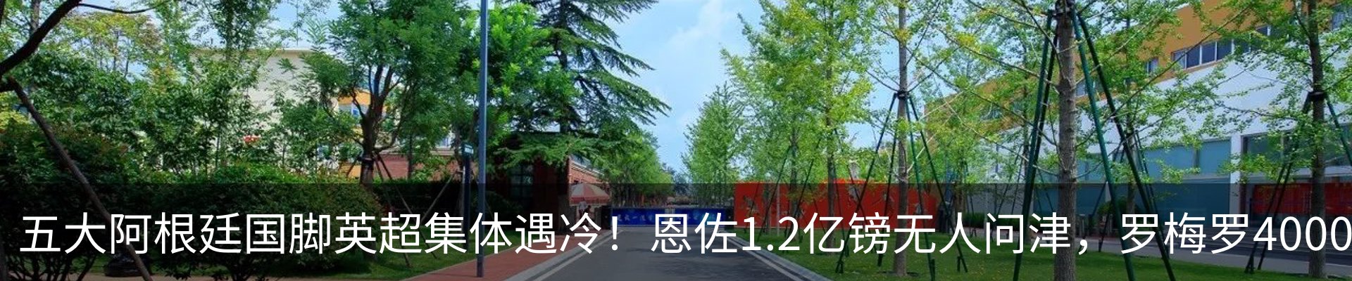 新闻动态
