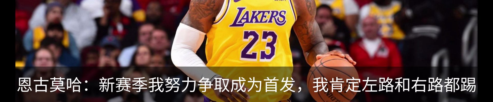 新闻动态
